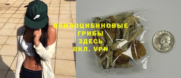 ПСИЛОЦИБИНОВЫЕ ГРИБЫ Алзамай