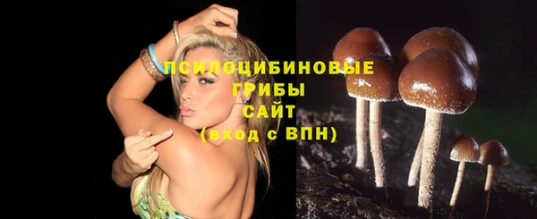ПСИЛОЦИБИНОВЫЕ ГРИБЫ Алзамай