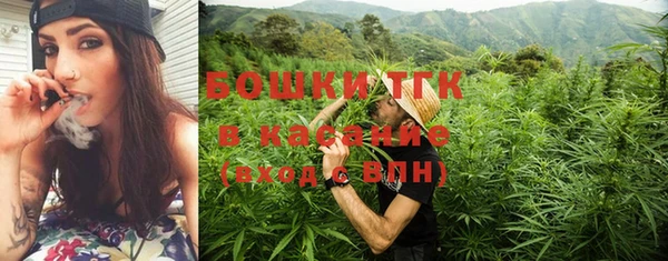 ешки Осинники