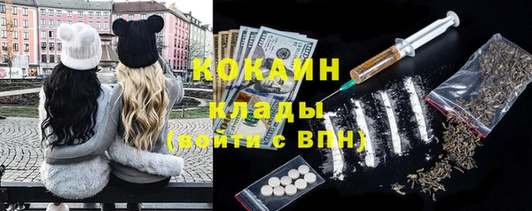 ПСИЛОЦИБИНОВЫЕ ГРИБЫ Алзамай