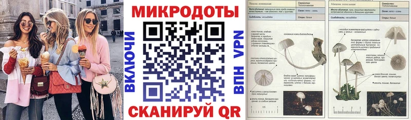 Псилоцибиновые грибы Psilocybe  Шатура 