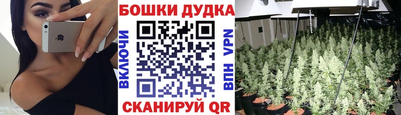 Канабис марихуана  как найти закладки  Шатура 